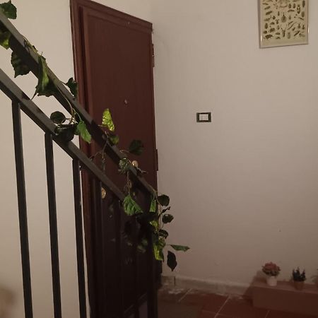 巴勒莫Casa Selinunte公寓 外观 照片
